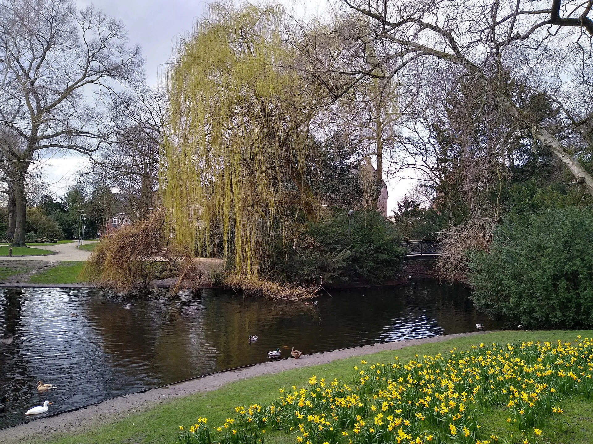 Wilhelminapark Tilburg
