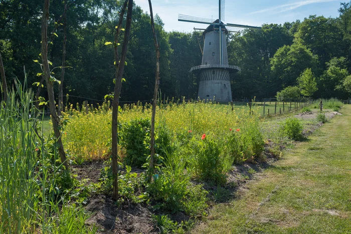 Tuinen Nederlands Openluchtmuseum
