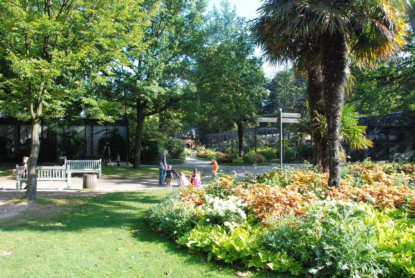 ARTIS Botanische Tuin