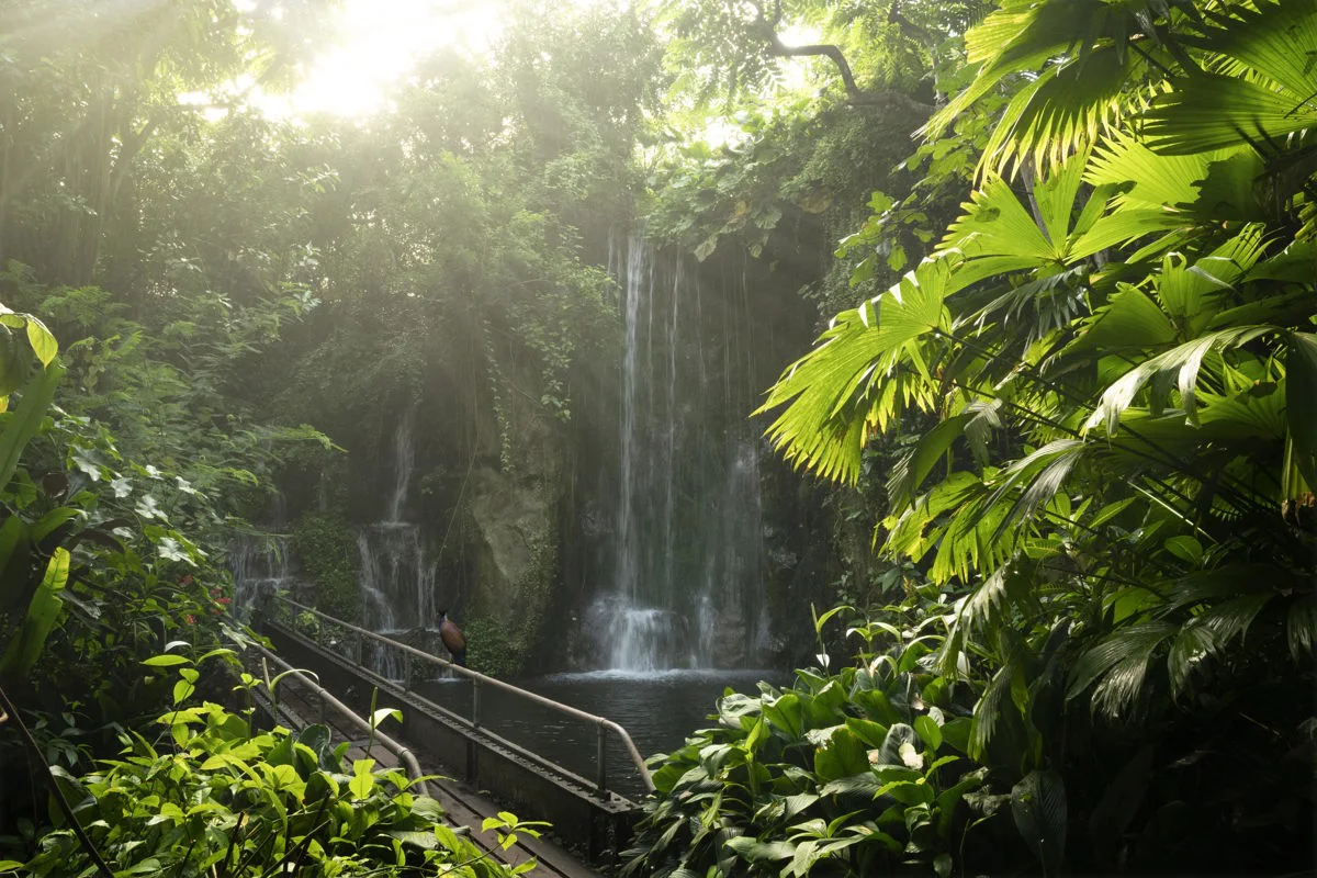 Botanische Tuin Burgers' Zoo