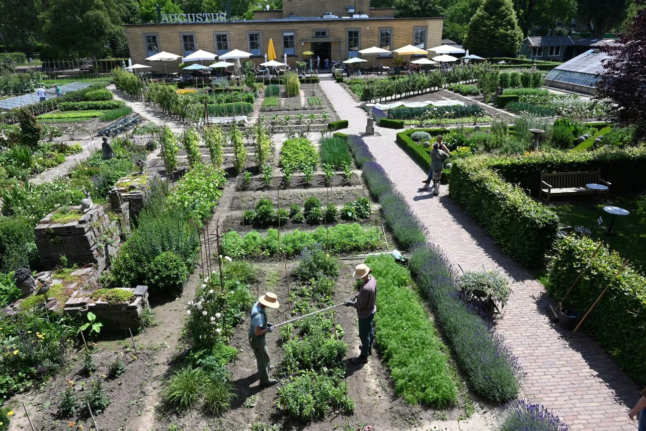 Tuin van Villa Augustus