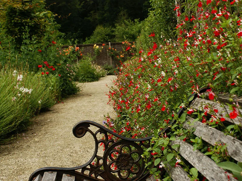 Tuin de Lage Oorsprong