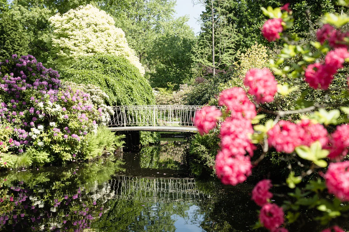 Trompenburg Tuinen & Arboretum