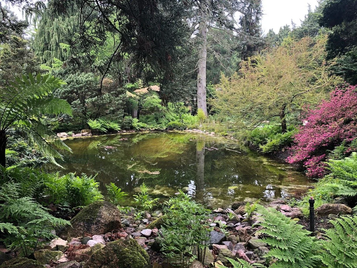 Pinetum Blijdenstein