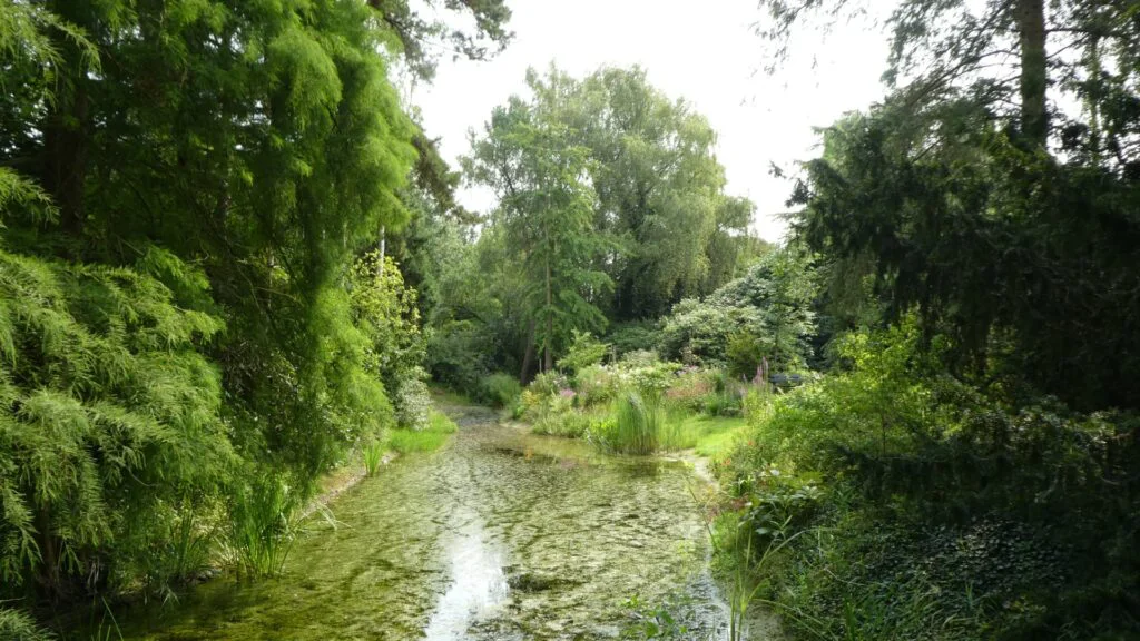 Notoarestoen Arboretum Eenrum