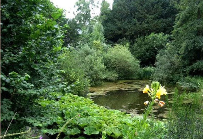 Heemtuin De Zomp