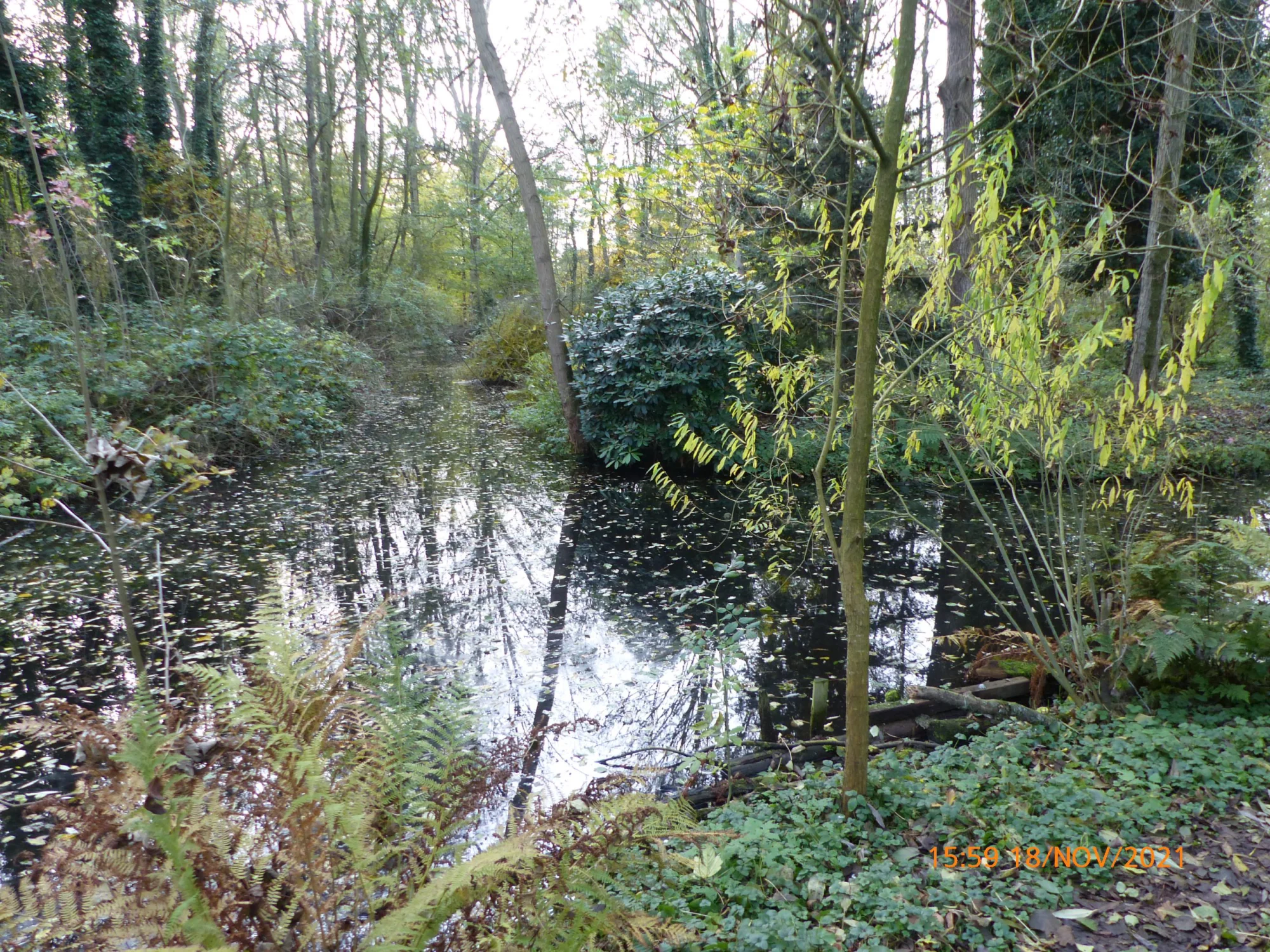 Heemtuin Capelle aan den IJssel