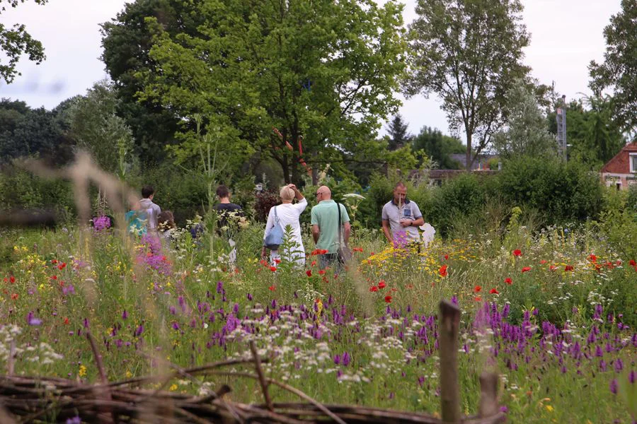 Natuurtuin 't Loo