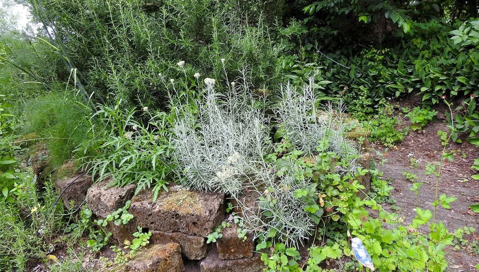 Natuurtuin De Bimd