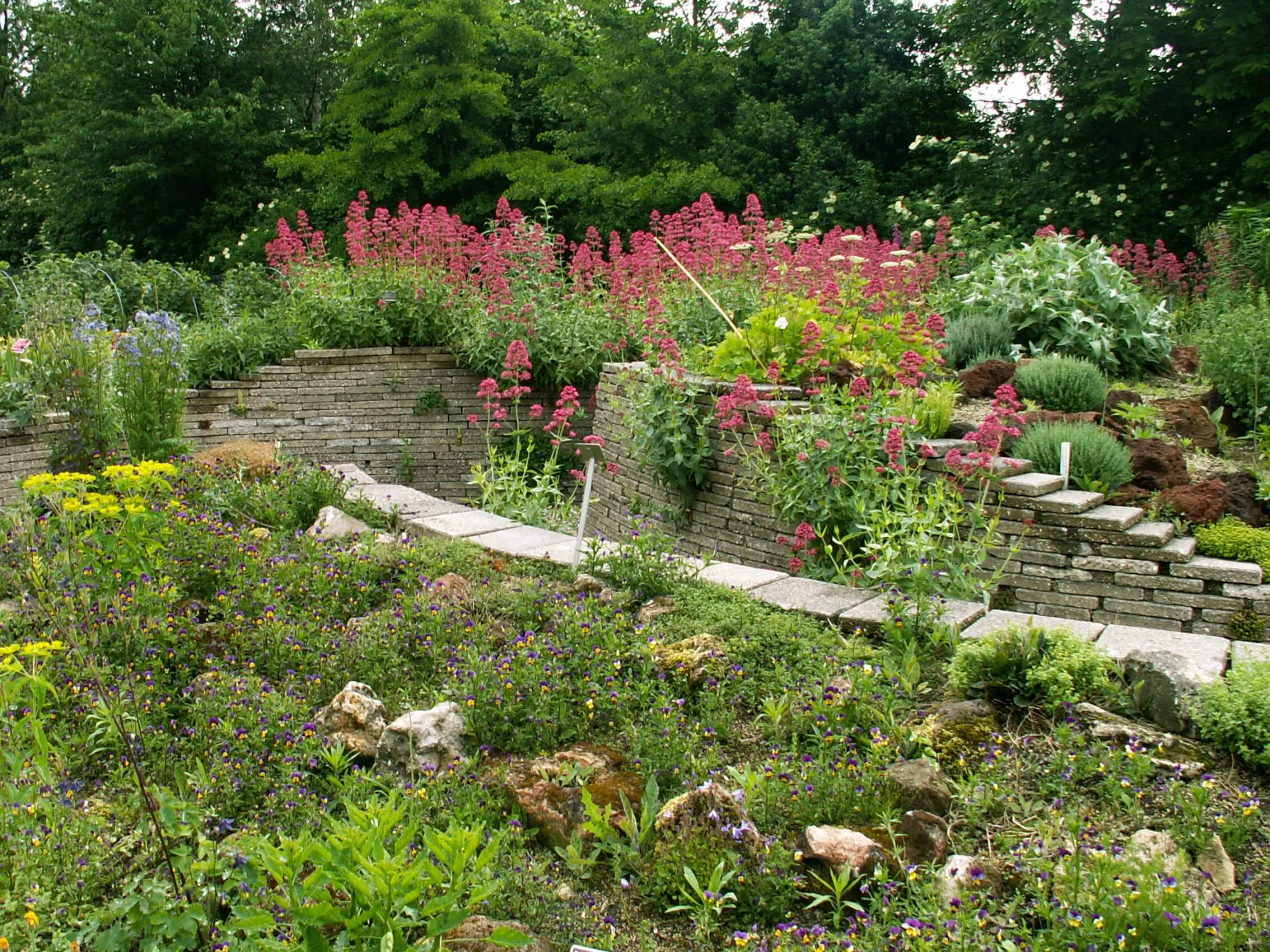 Hortus Alkmaar