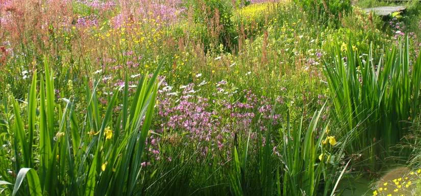 Natuurtuin IVN Haaksbergen