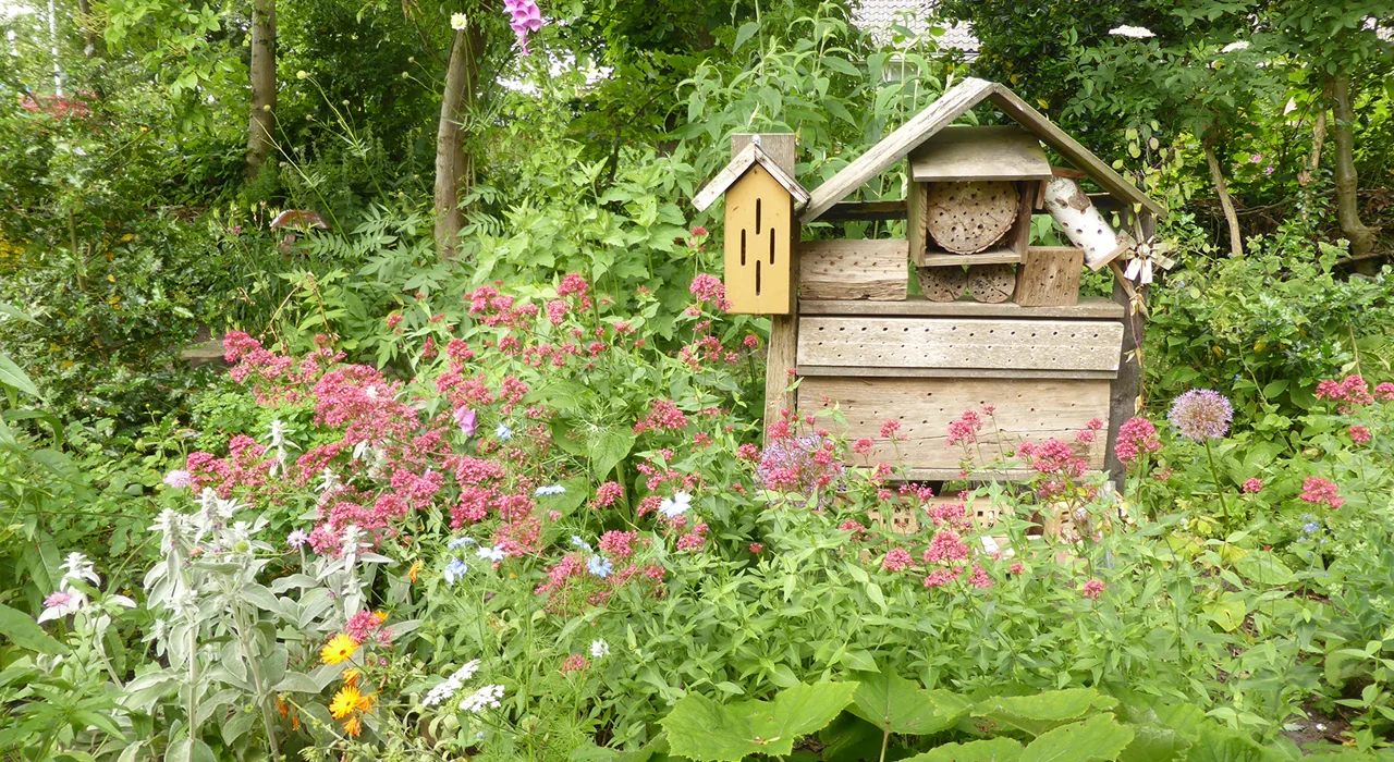 Vlindertuin Aldeboarn
