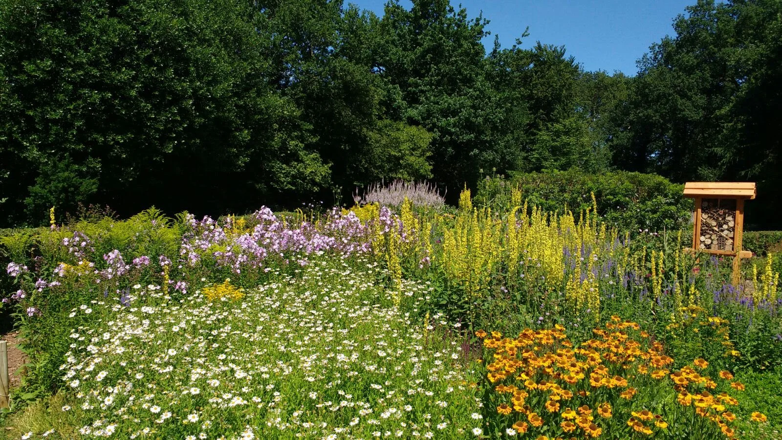 IVN Vlindertuin Norg