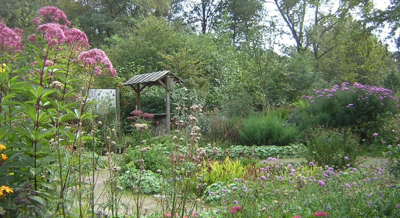 Vlindertuin Waalre