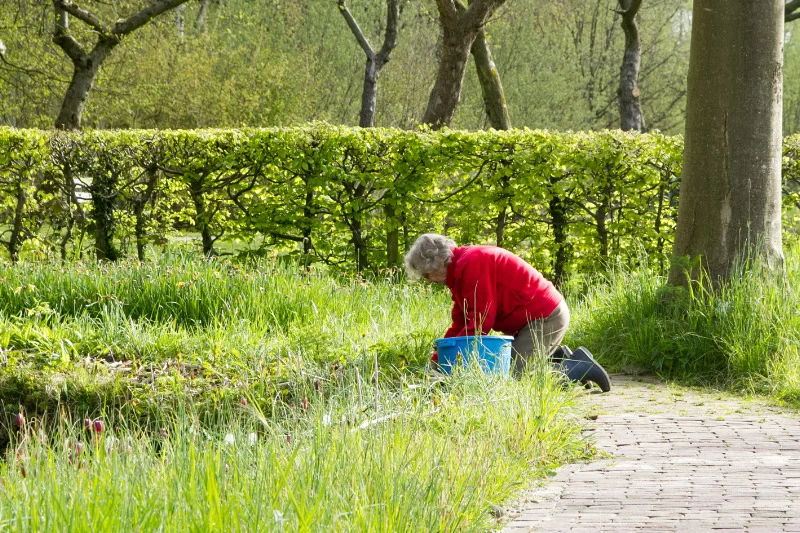 Educatieve Tuin Gerard Stout