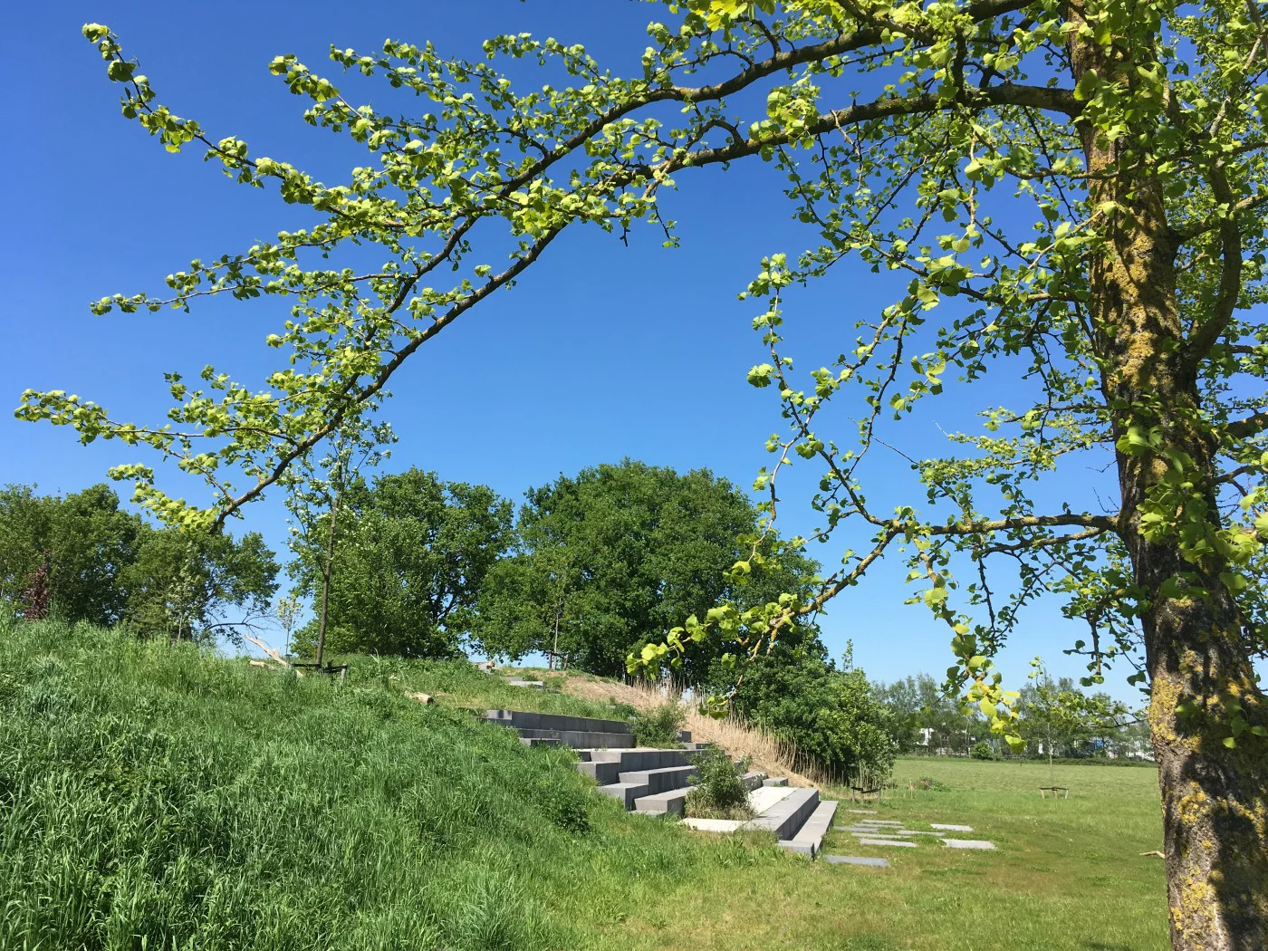 Arboretum Geffen