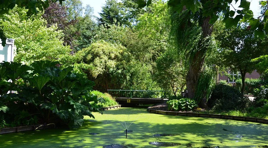 TU Delft Hortus Botanicus