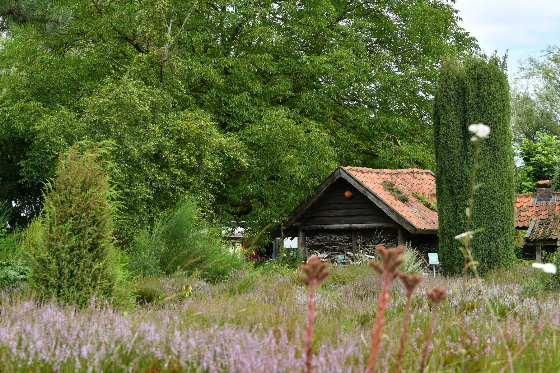 Kasteeltuin Oud-Valkenburg