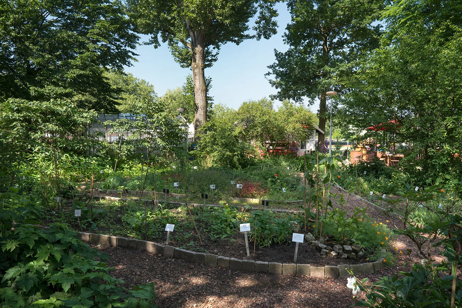 Botanische Tuin Afrikaanderwijk