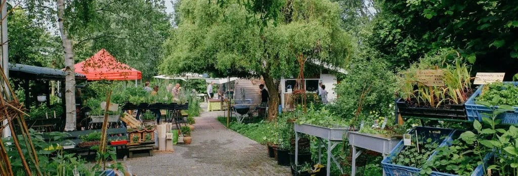 Mens en Tuin