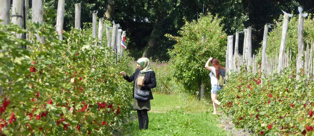 Fruittuin van West