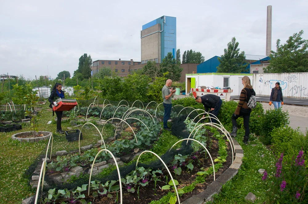 Voedseltuin Rotterdam