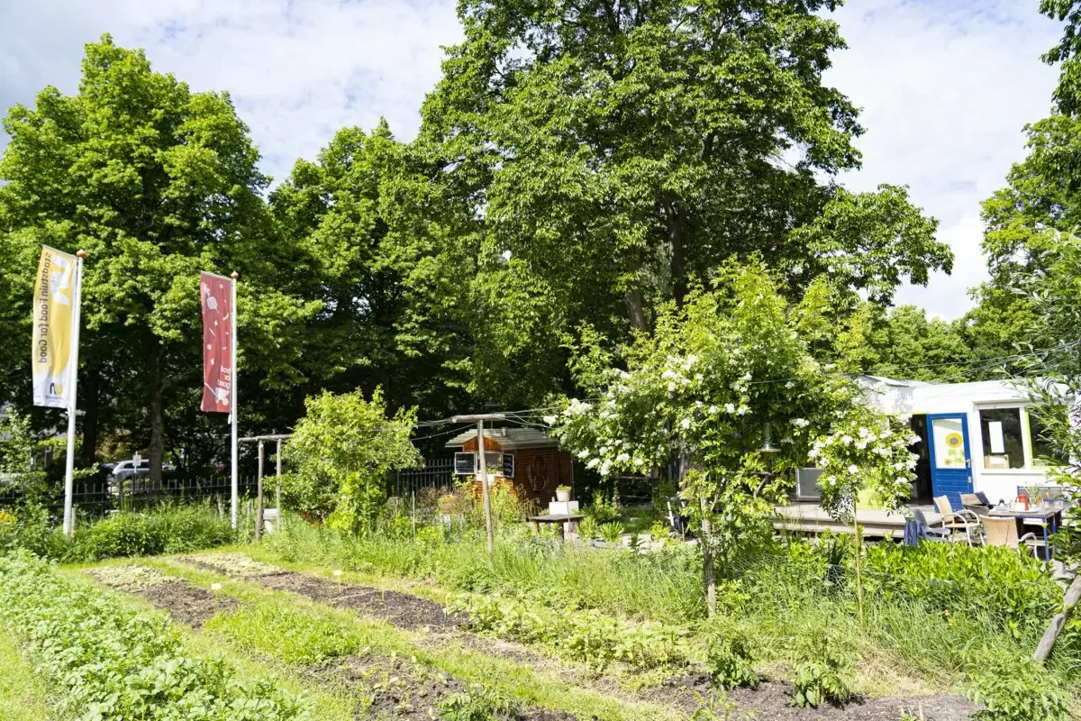 Stadstuin Food for Good
