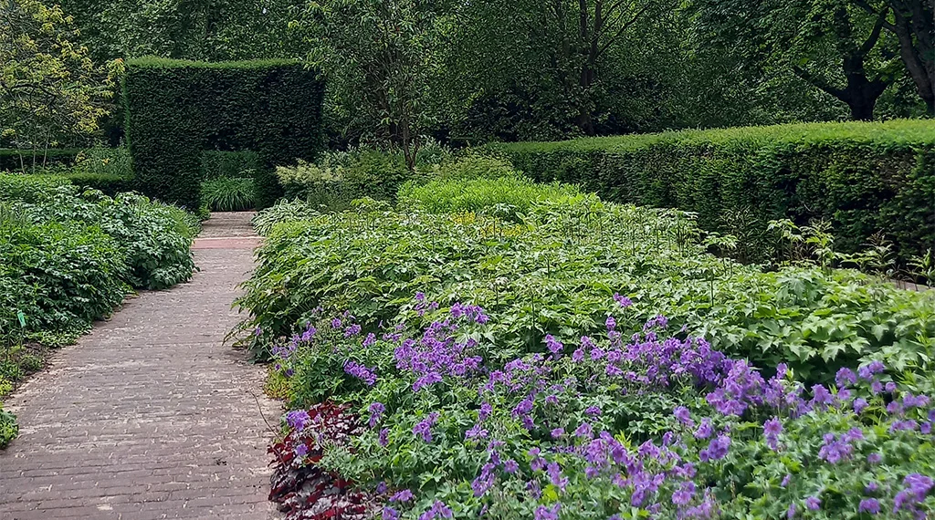 Bloementuin van Darwin