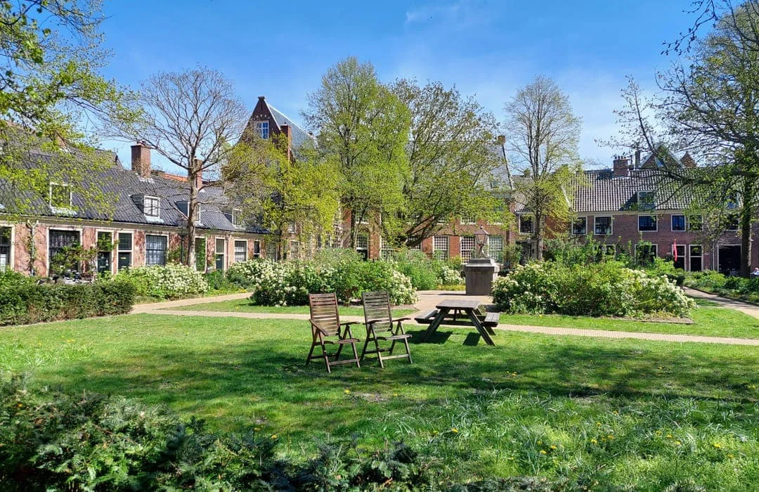 Wijngaardtuin