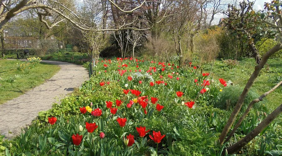 Haarlemmer Kweektuin