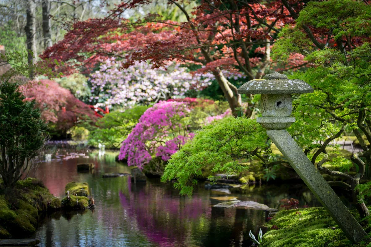 Japanse Tuin Clingendael