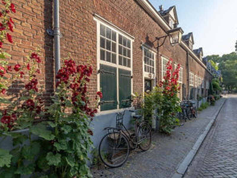 Fundatie Maria van Pallas