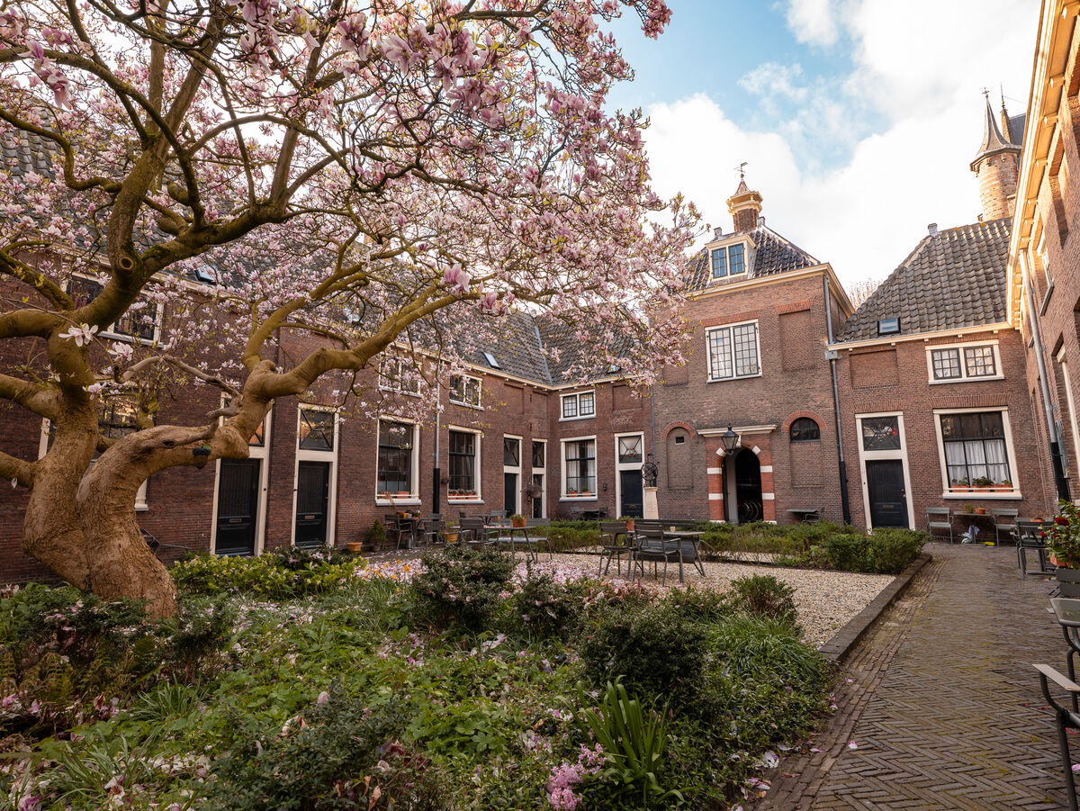 Jan Pesijnhof